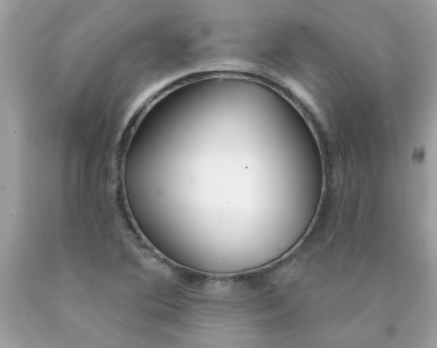 X0000090501364200707272353