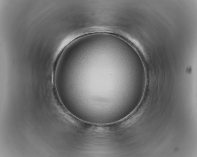 X0000090501365200707272353