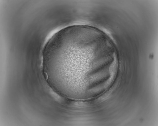 X0000090501366200707272353