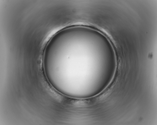 X0000090501367200707272353