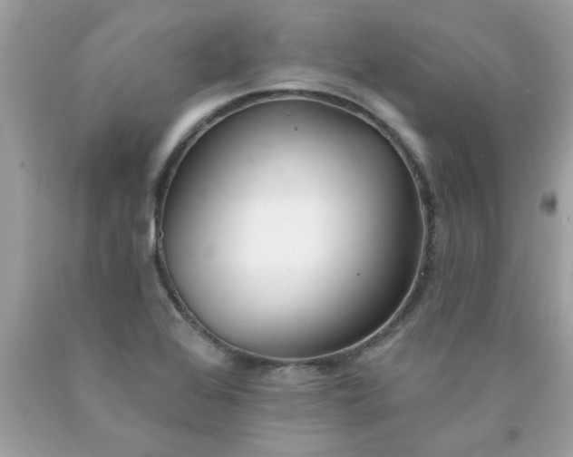 X0000090501368200707272353