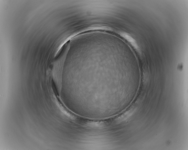 X0000090501369200707272353