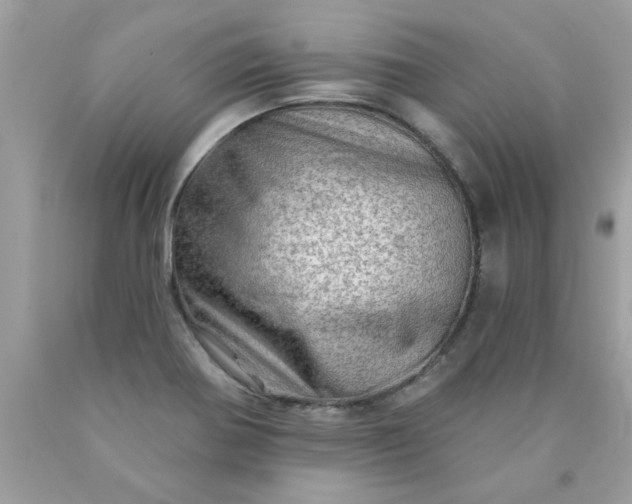 X0000090501370200707272353