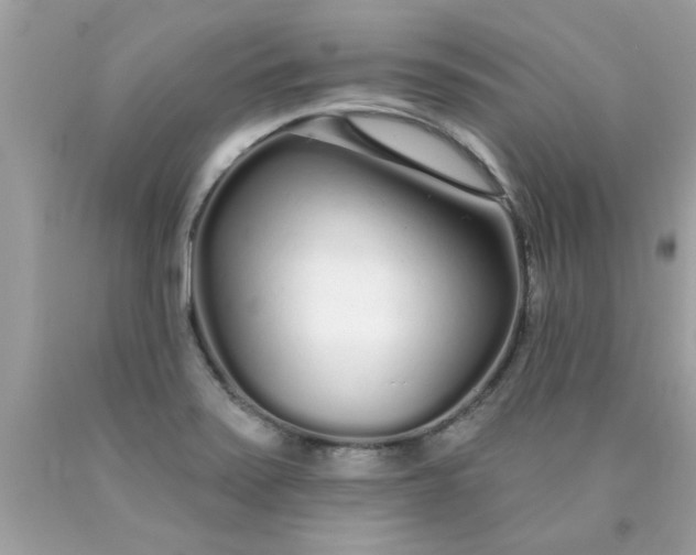 X0000090501371200707272353