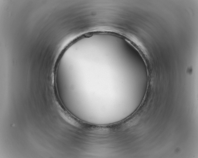 X0000090501372200707272353