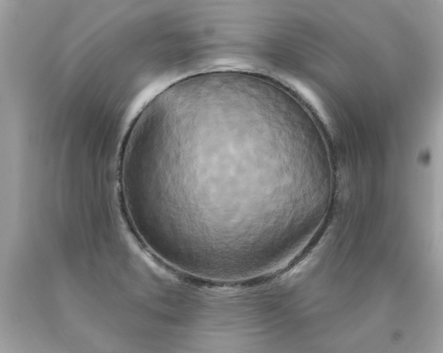 X0000090501373200707272353