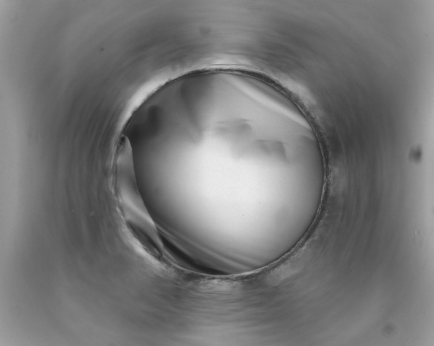 X0000090501374200707272353