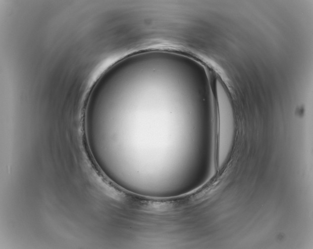 X0000090501375200707272353