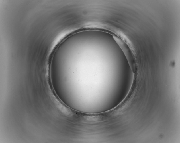 X0000090501376200707272352