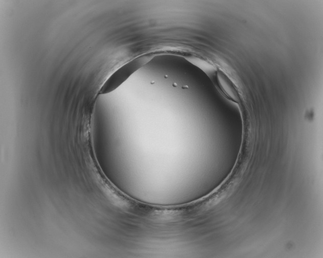 X0000090501377200707272352