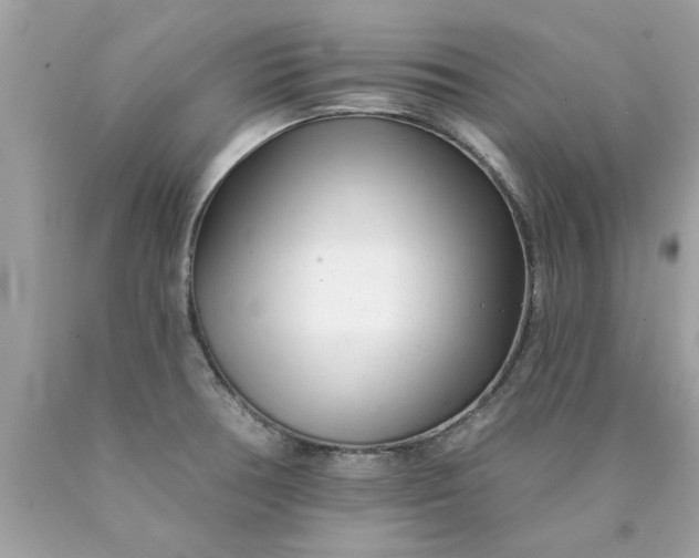 X0000090501378200707272352