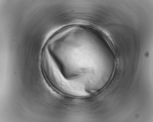 X0000090501379200707272352