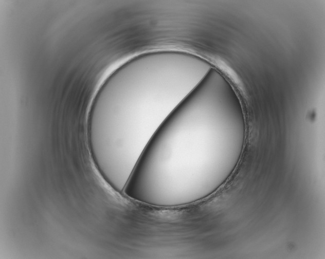 X0000090501380200707272352