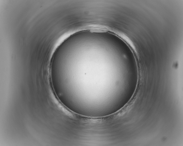 X0000090501381200707272352