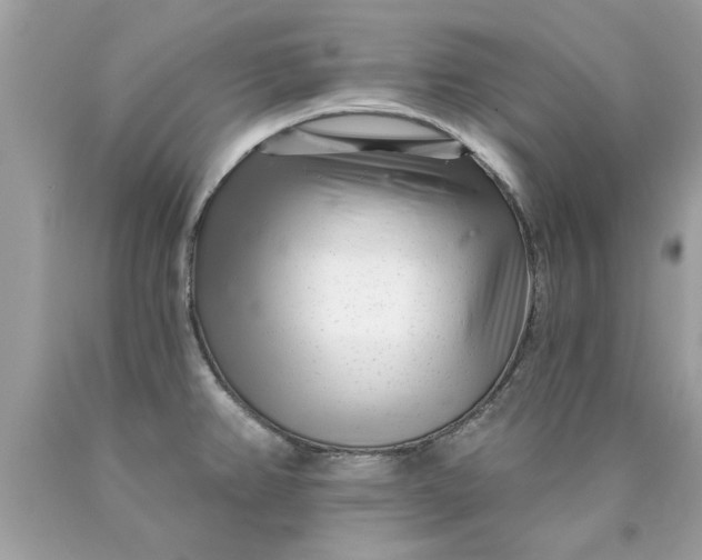 X0000090501382200707272352