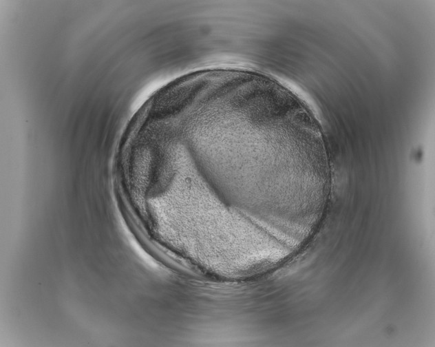 X0000090501383200707272352