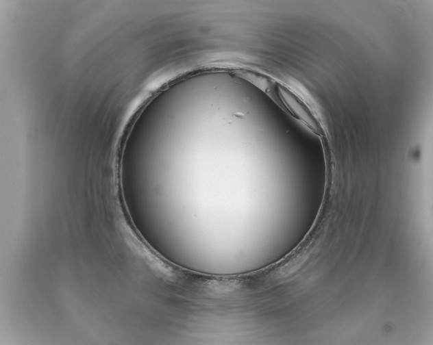 X0000090501384200707272352