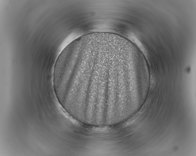 X0000090501386200707272352