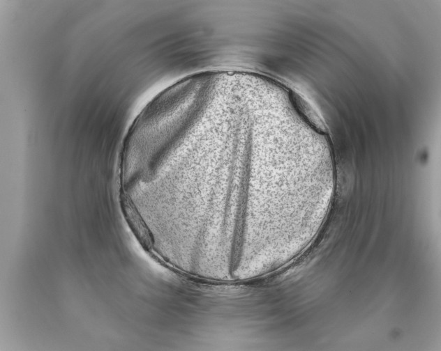 X0000090501387200707272352