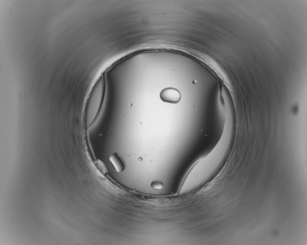 X0000090501388200707272352