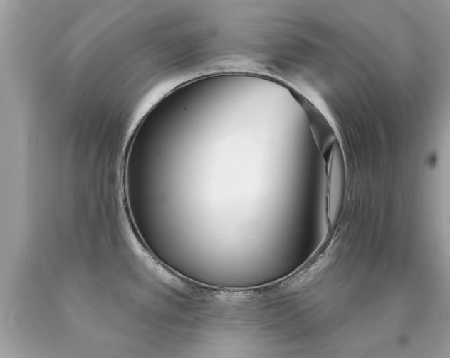 X0000090501389200707272352