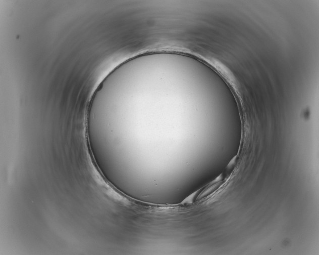 X0000090501390200707272352