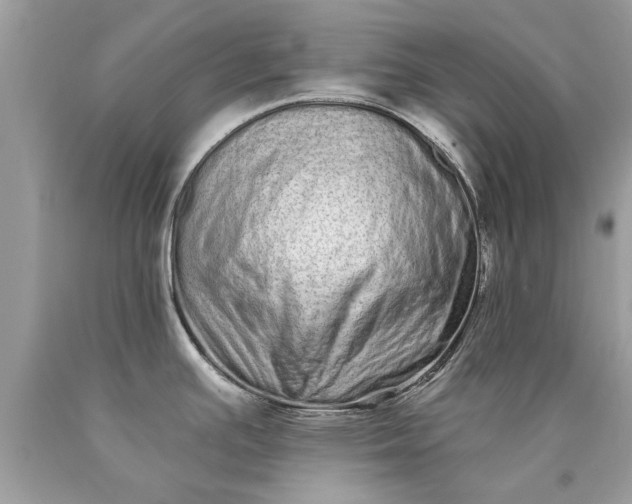 X0000090501391200707272352