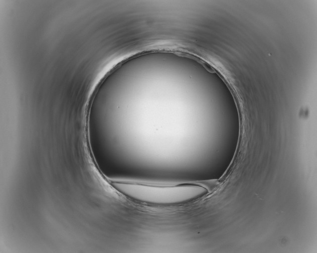 X0000090501392200707272352