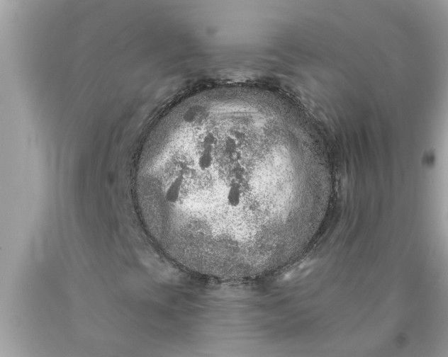 X0000090501393200707272352