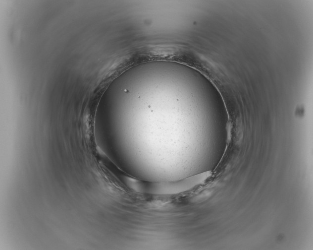 X0000090501394200707272352