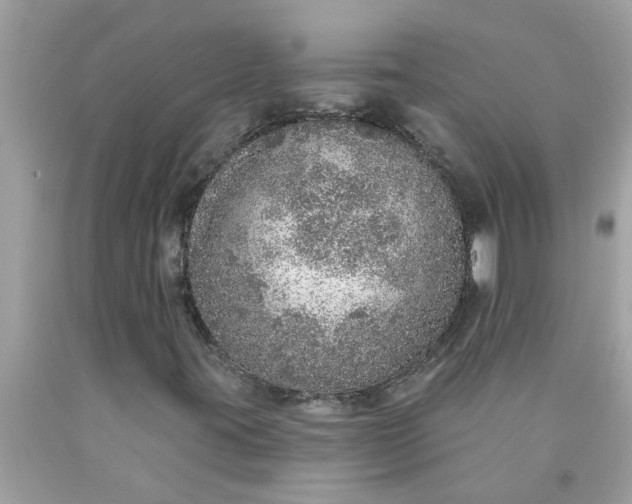 X0000090501395200707272352