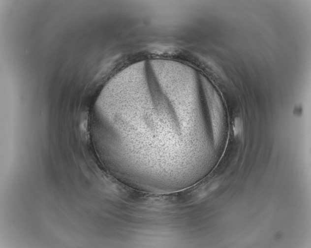 X0000090501396200707272352