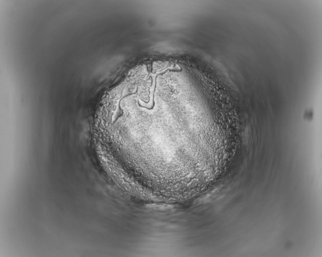 X0000090501397200707272352