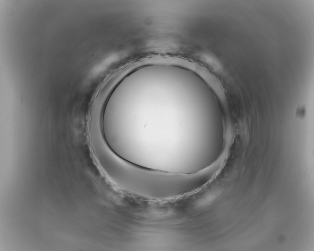 X0000090501398200707272352