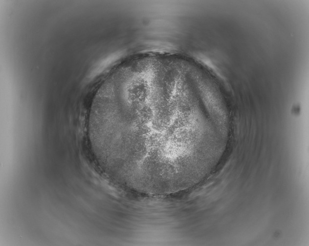 X0000090501399200707272352