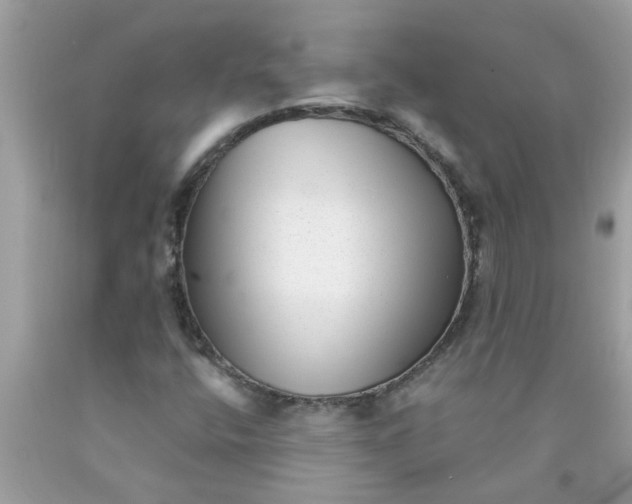 X0000090501400200707272352