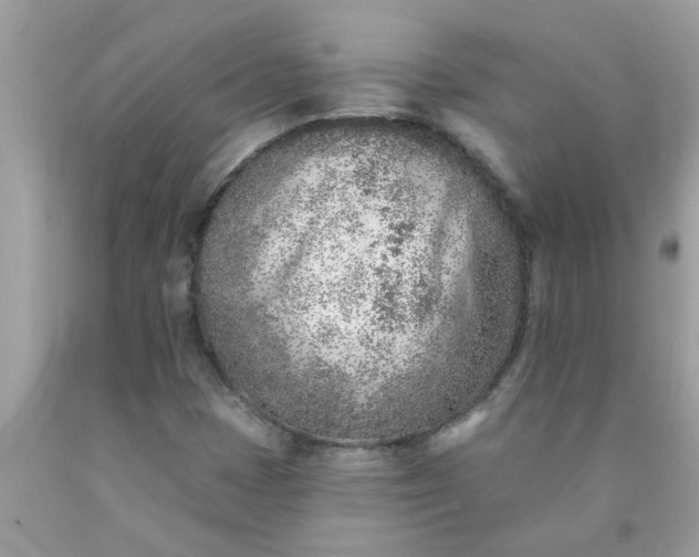 X0000090501401200707272352