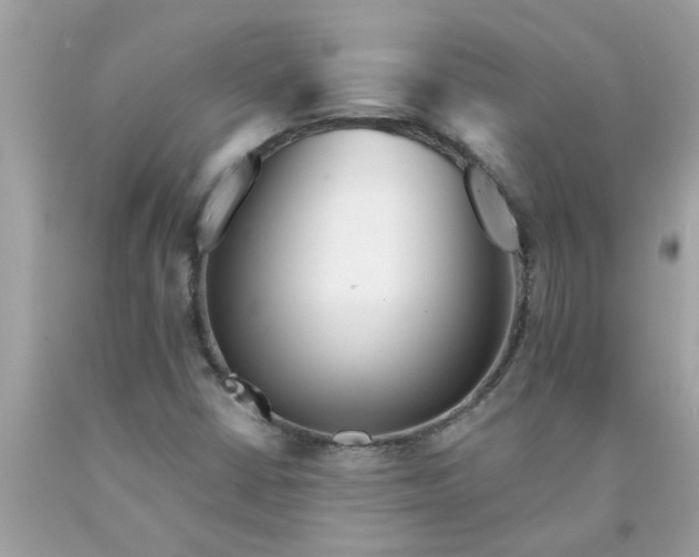 X0000090501402200707272352