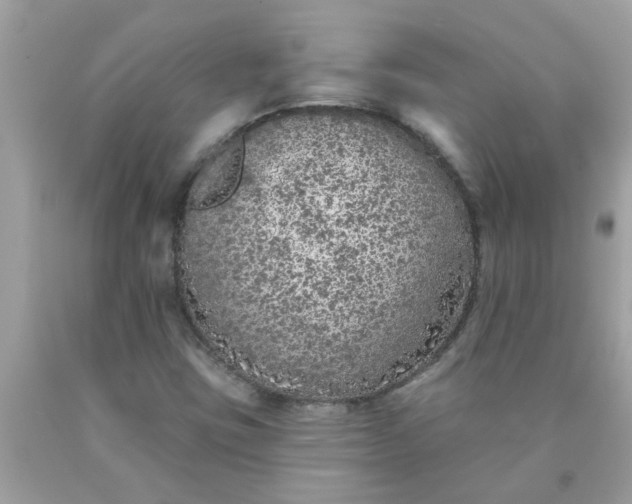 X0000090501403200707272352