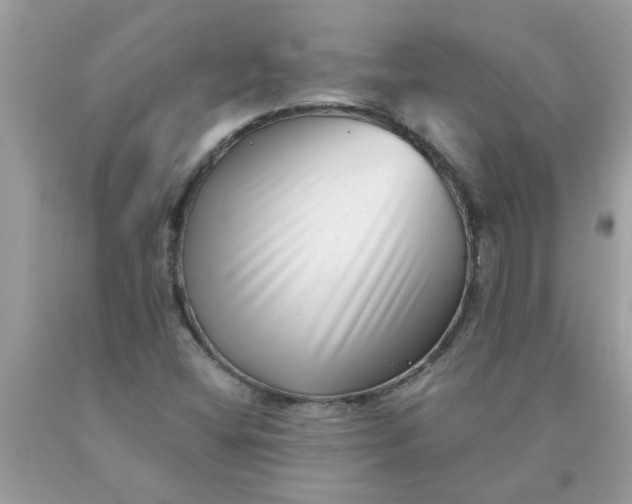 X0000090501404200707272352