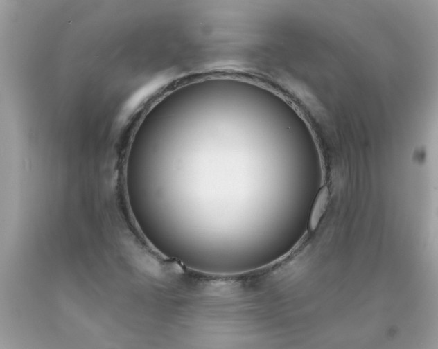 X0000090501406200707272352