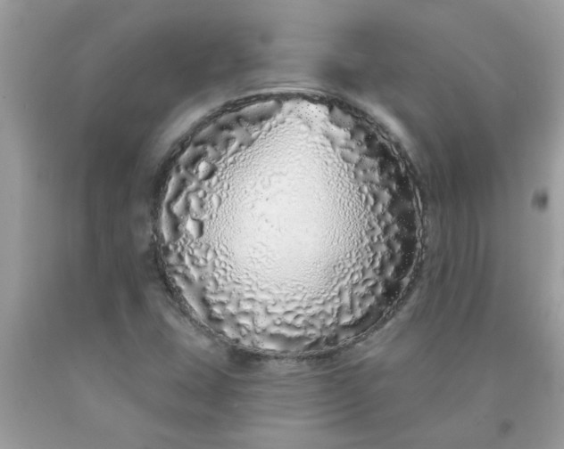 X0000090501407200707272352