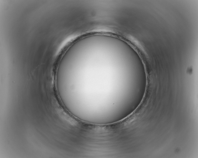 X0000090501408200707272352