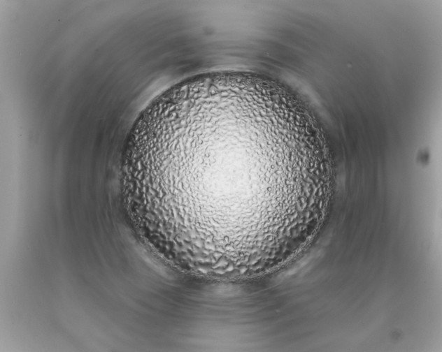 X0000090501409200707272352