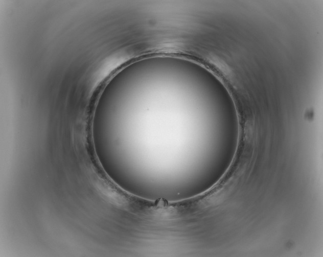 X0000090501410200707272352