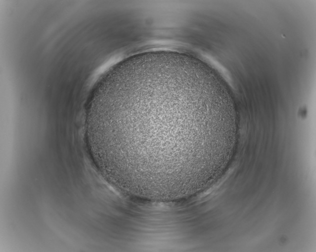 X0000090501411200707272352