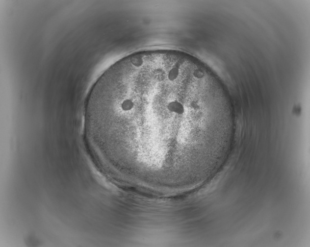 X0000090501413200707272352