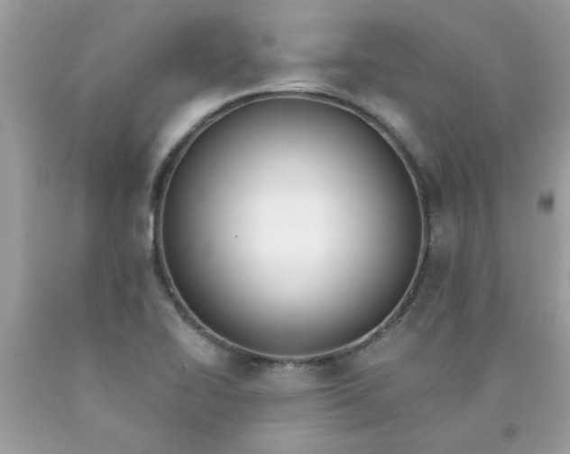 X0000090501414200707272352