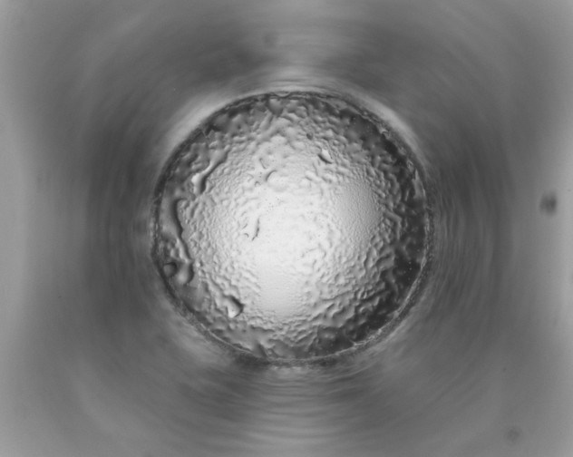 X0000090501415200707272352