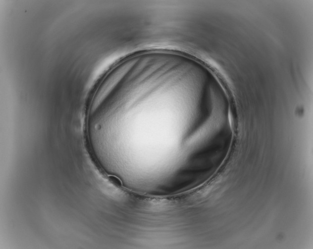 X0000090501416200707272352